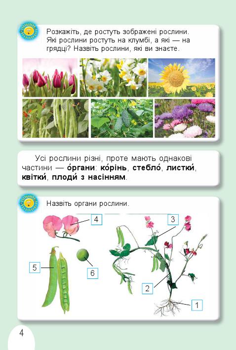 Я досліджую світ 1 клас Т. Гільберг, С. Тарнавська, О. Гнатюк, Н. Павич 2018
