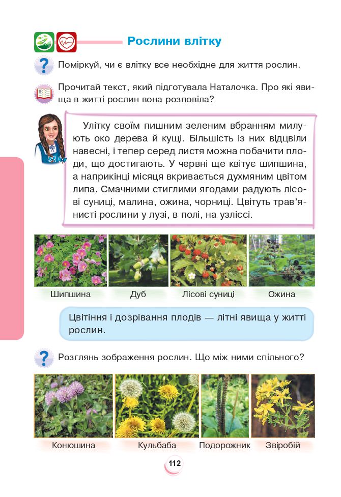Я досліджую світ 2 клас Будна Н.О., Гладюк Т.В., Забродська С.Г., Шост Н.Б., Лисобей Л. В. 2019