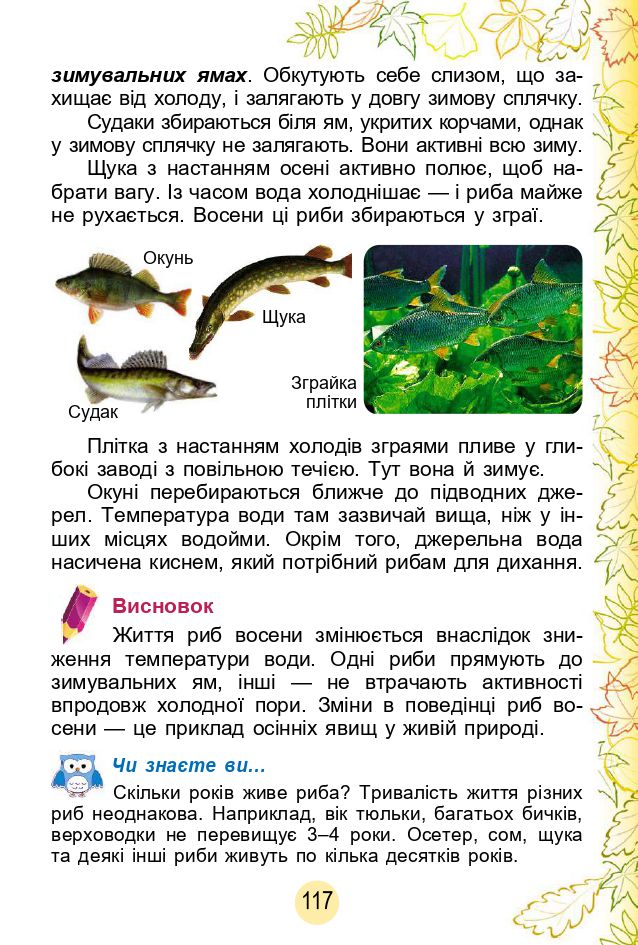 Я досліджую світ 2 клас Гільберг Т. Г.; Тарнавська С. С.; Павич Н. Н. 2019