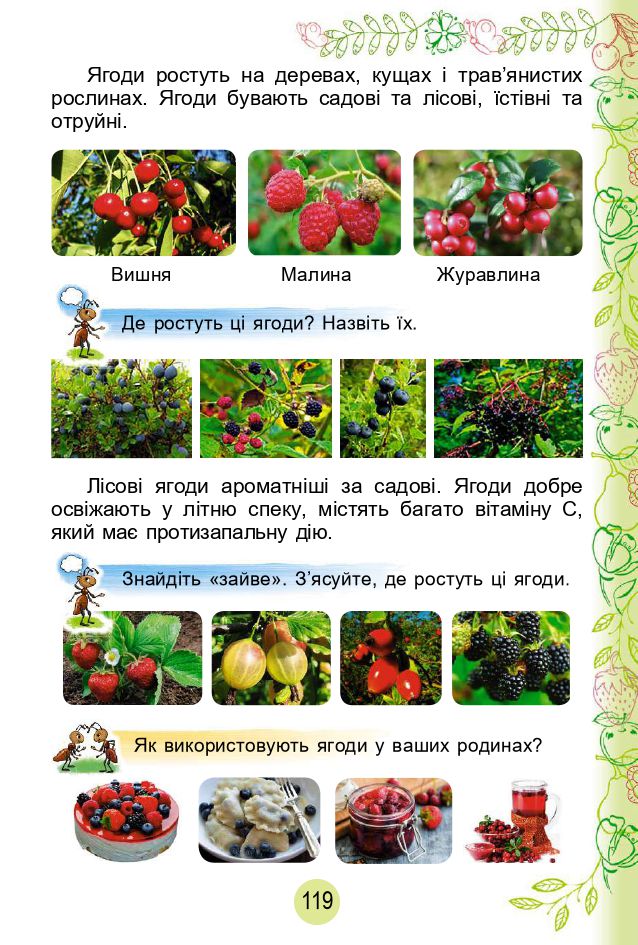Я досліджую світ 2 клас Гільберг Т. Г.; Тарнавська С. С.; Павич Н. Н. 2019