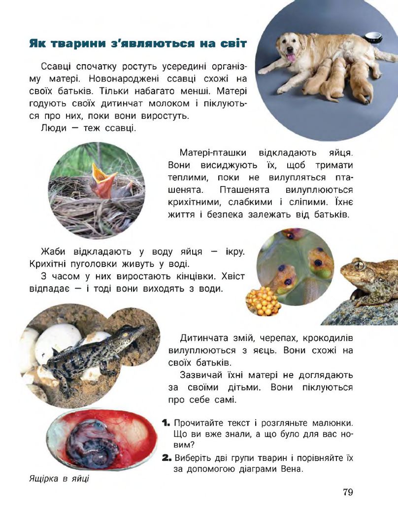Я досліджую світ 2 клас Іщенко О. Л., Ващенко О. М., Романенко Л. В., Романенко К. А., Кліщ О. М. 2019