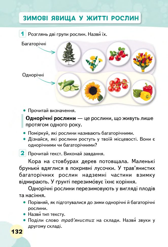 Я досліджую світ 2 клас Вашуленко М. С., Ломаковська Г. В., Єресько Т. П., Ривкінд Й. Я., Проценко Г. О. 2019