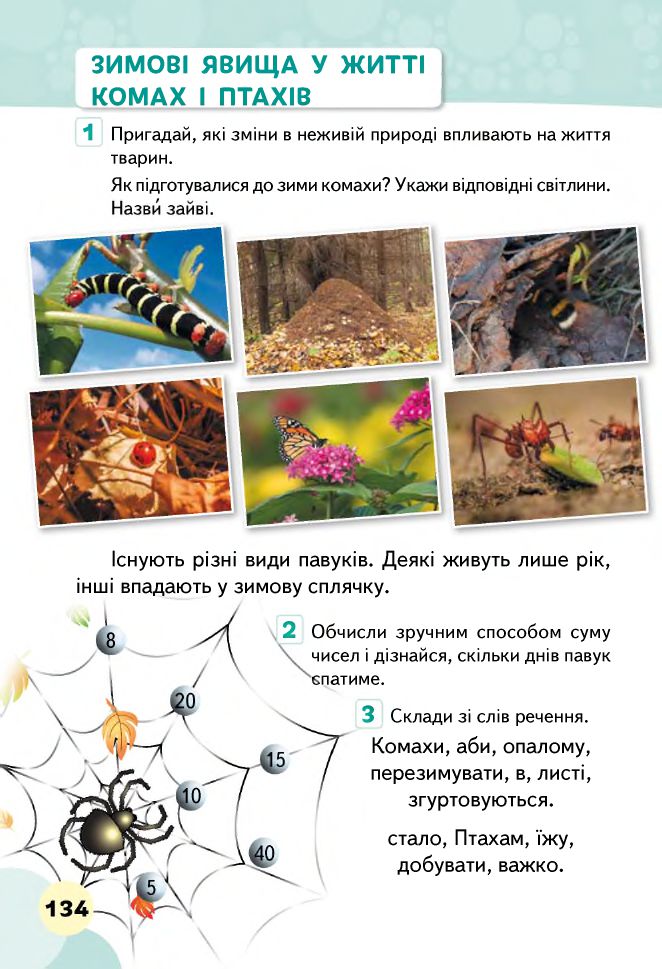 Я досліджую світ 2 клас Вашуленко М. С., Ломаковська Г. В., Єресько Т. П., Ривкінд Й. Я., Проценко Г. О. 2019