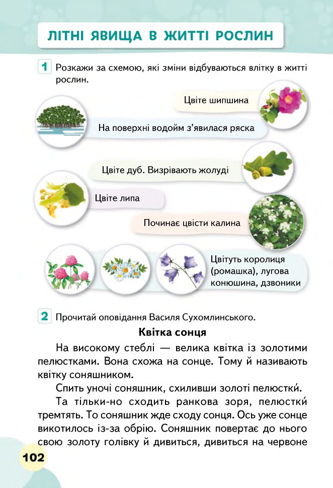 Я досліджую світ 2 клас Вашуленко М. С., Ломаковська Г. В., Єресько Т. П., Ривкінд Й. Я., Проценко Г. О. 2019