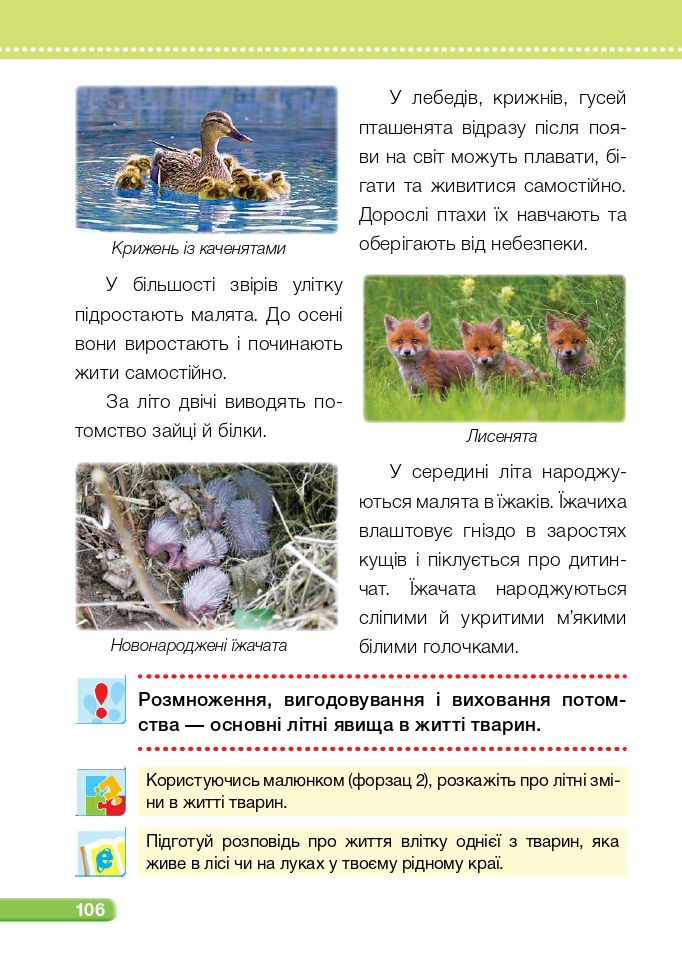 Я досліджую світ 2 клас Жаркова І. І., Мечник Л. А., Роговська Л. І., Пономарьова Л. О., Антонов О. Г. 2019