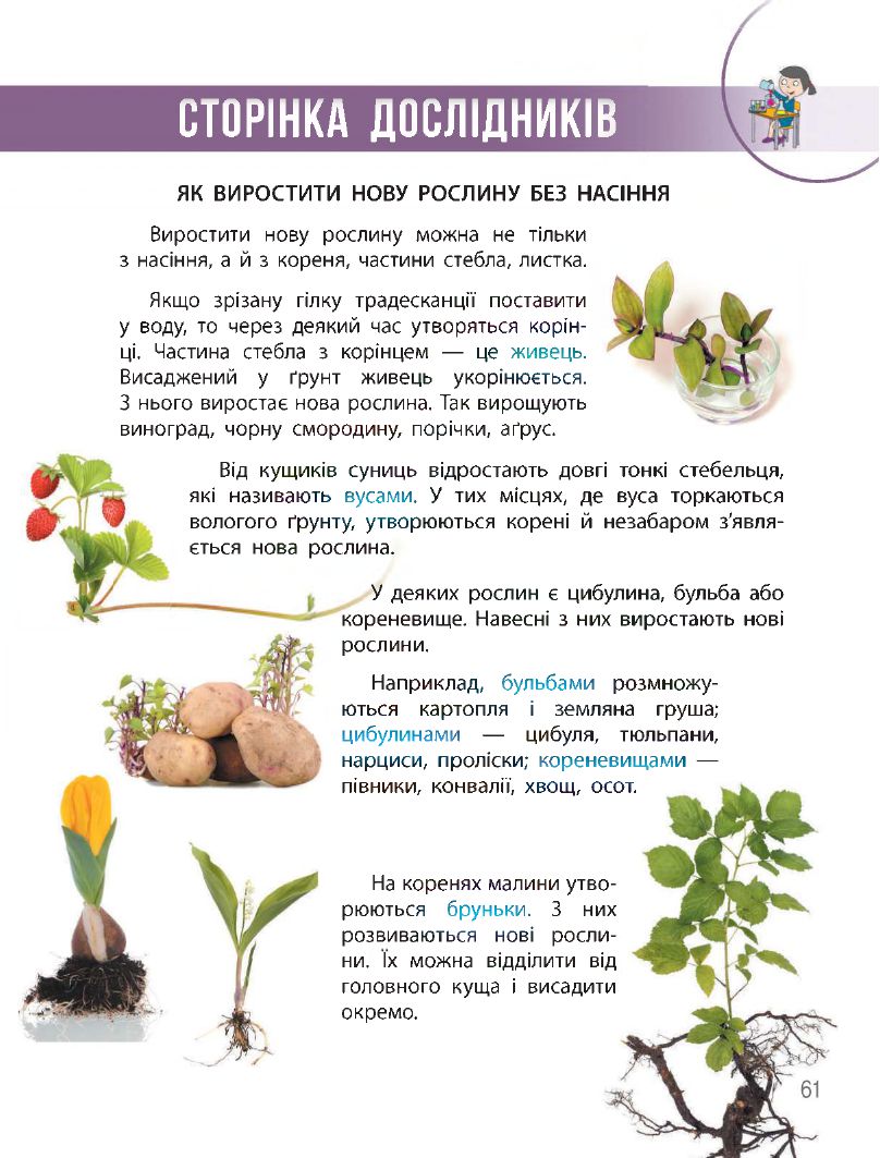 Я досліджую світ 3 клас Н.М. Бібік, Г.П. Бондарчук 2020