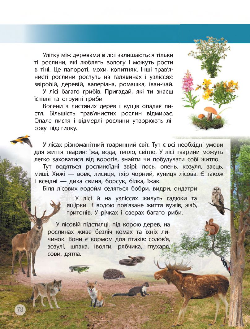 Я досліджую світ 3 клас Н.М. Бібік, Г.П. Бондарчук 2020