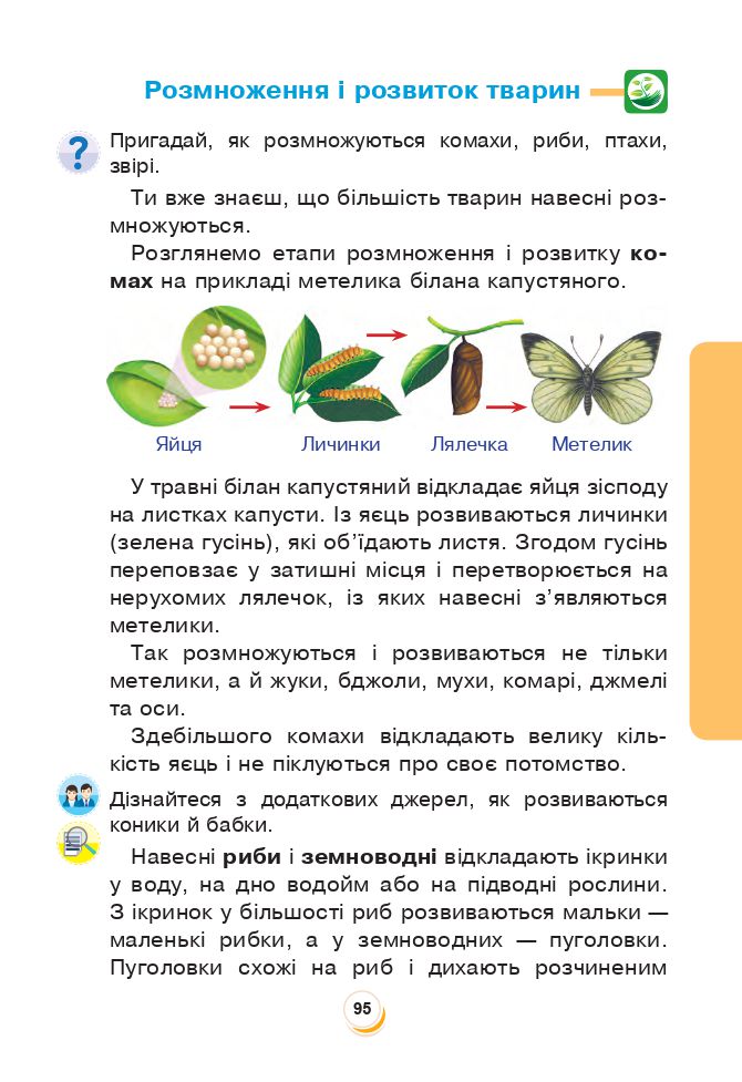 Я досліджую світ 3 клас Н.О. Будна, Т.В. Гладюк, С.Г. Заброцька, Н.Б. Шост, Л.В. Лисобей 2020