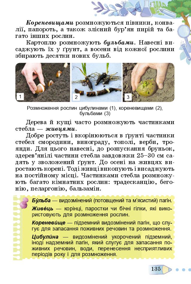 Я досліджую світ 3 клас Т. Гільберг, С. Тарнавська, Л. Грубіян, Н. Павич 2020