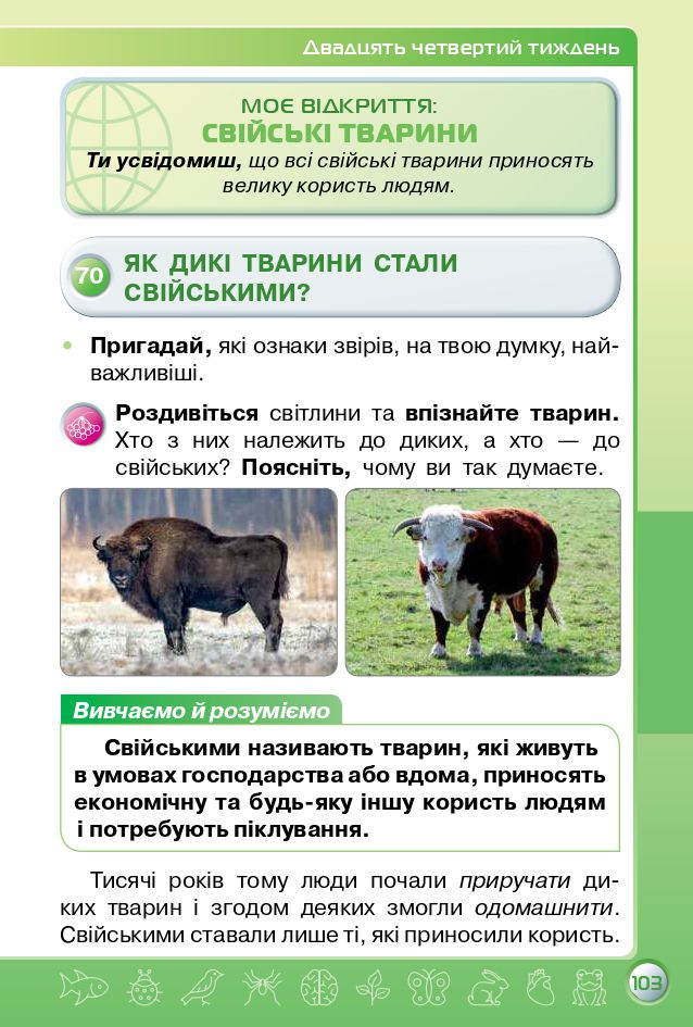 Я досліджую світ 3 клас І.В. Грущинська, З.М. Хитра 2020