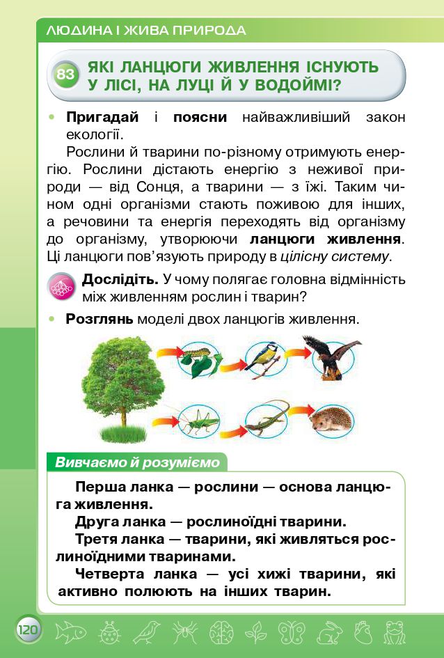 Я досліджую світ 3 клас І.В. Грущинська, З.М. Хитра 2020