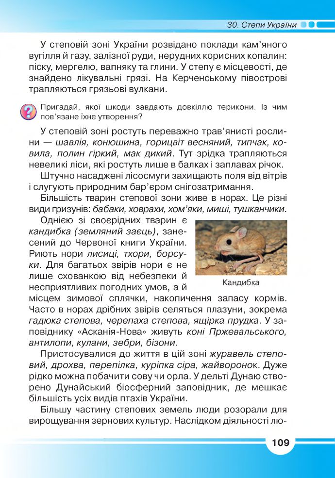 Я досліджую світ 4 клас Андрусенко І. В., Котелянець Н. В, Агєєва О. В. 2021