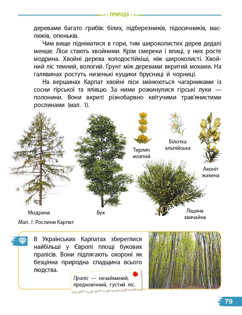 Я досліджую світ 4 клас Н.М. Бібік, Г. Бондарчук 2021