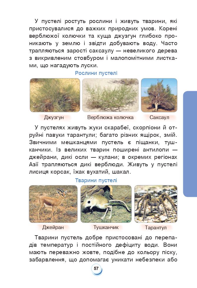 Я досліджую світ 4 клас Н. О. Будна, Т. В. Гладюк, С. Г. Заброцька, Н. Б. Шост 2021