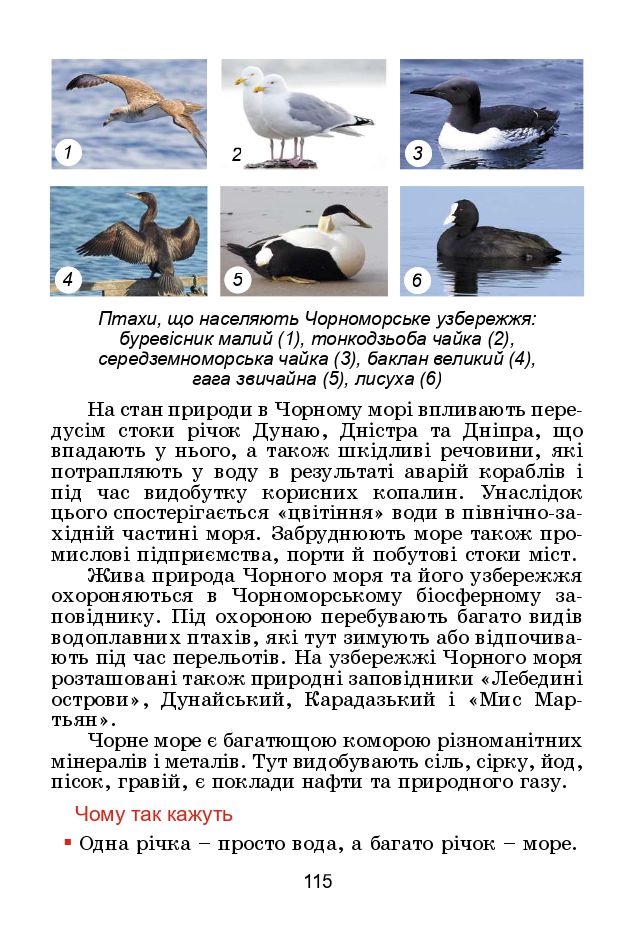 Я досліджую світ 4 клас Т. Гільберг, С. Тарнавська, Н. Тарнавська 2021