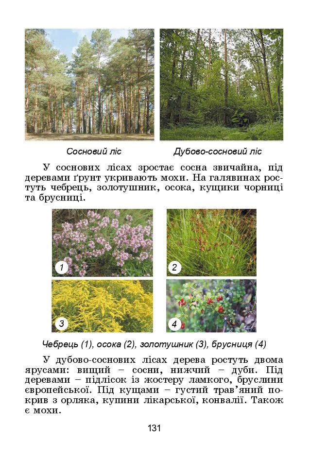 Я досліджую світ 4 клас Т. Гільберг, С. Тарнавська, Н. Тарнавська 2021