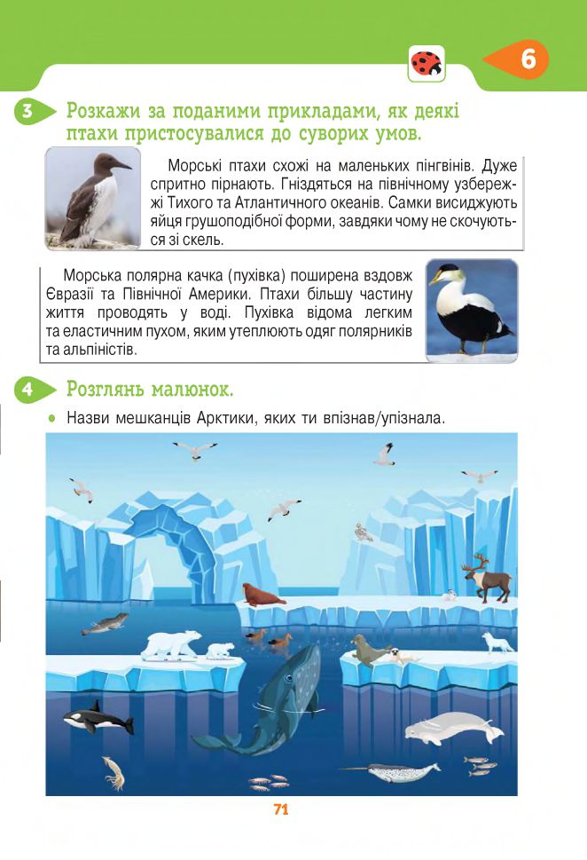 Я досліджую світ 4 клас Вашуленко М.С, Т. П. Єресько, О. В. Безкоровайна 2021
